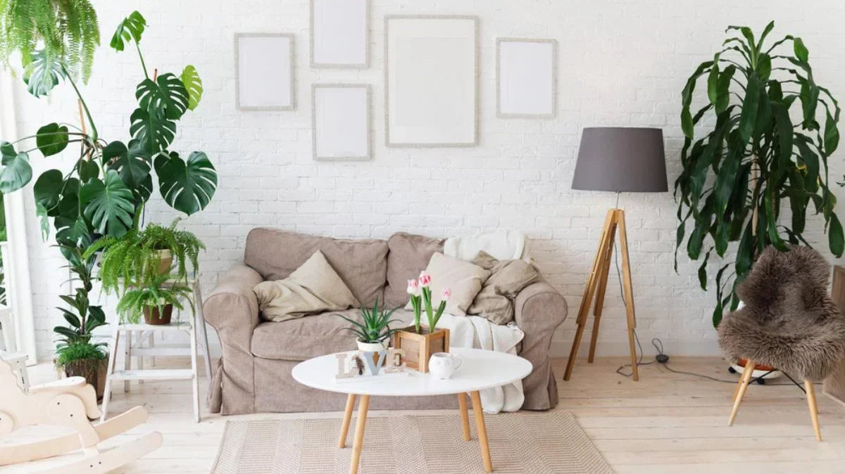 A Breath of Fresh Air: Incorporating Plants into Your Living Room