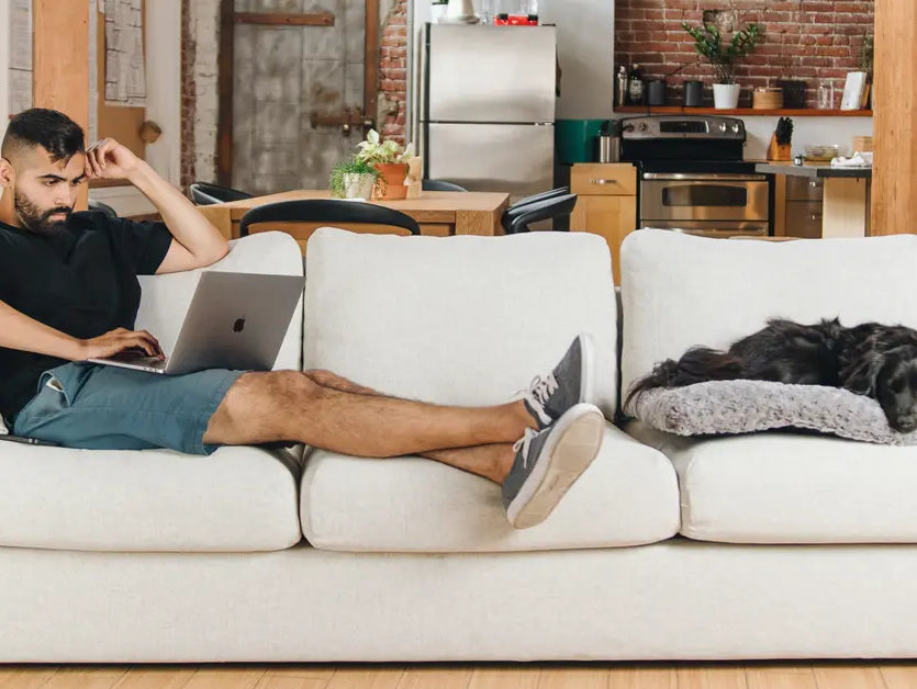 Maximizing Comfort: The Best Sofa Accessories of 2023