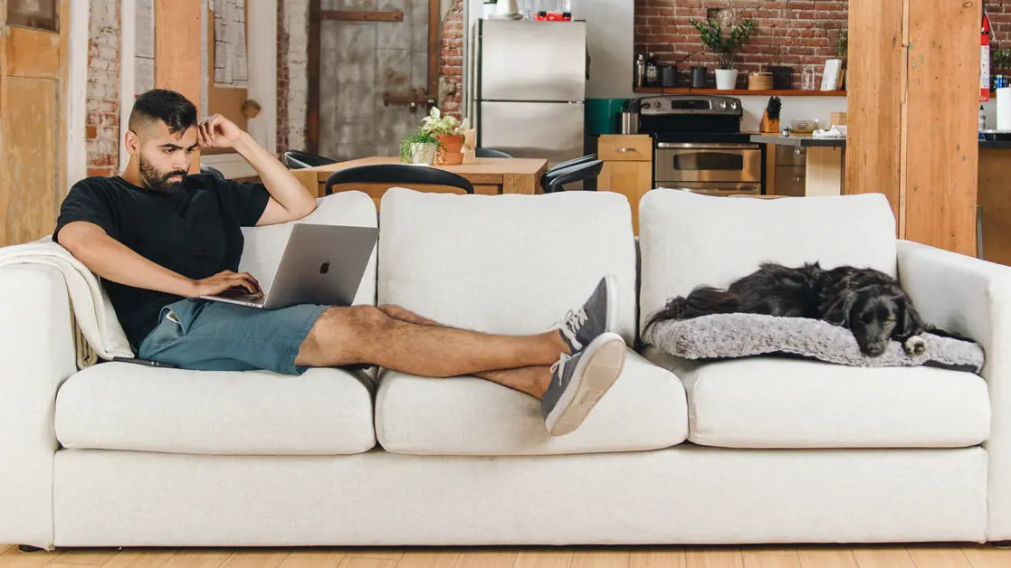 Maximizing Comfort: The Best Sofa Accessories of 2023