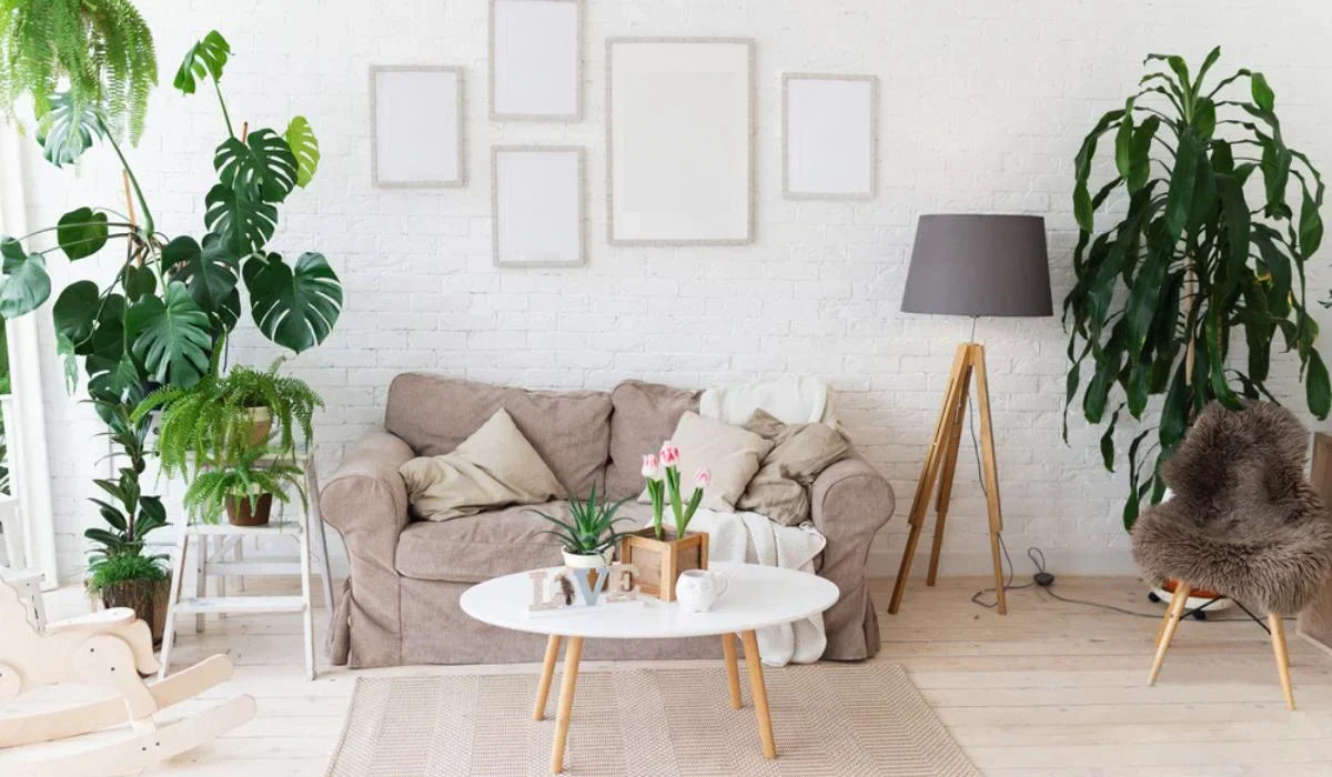 A Breath of Fresh Air: Incorporating Plants into Your Living Room