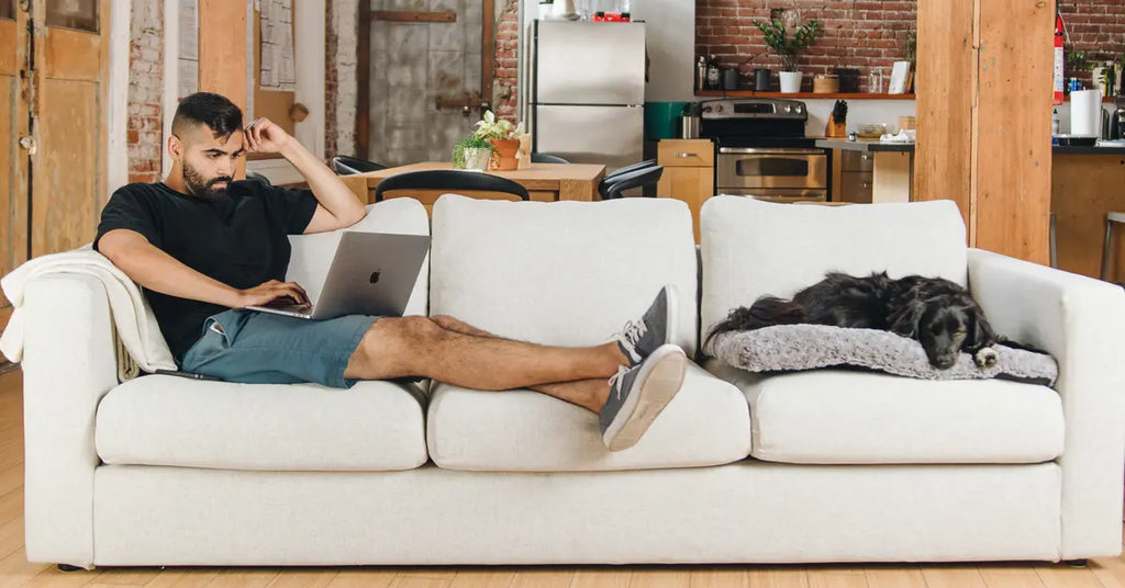 Maximizing Comfort: The Best Sofa Accessories of 2023